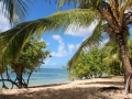 Guadeloupe La Soufleur