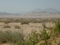 Nabq, Sinai