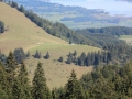 Natur & Bauwerke - Kampenwand (27.08.15)
