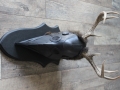 Trophäenbrett 2