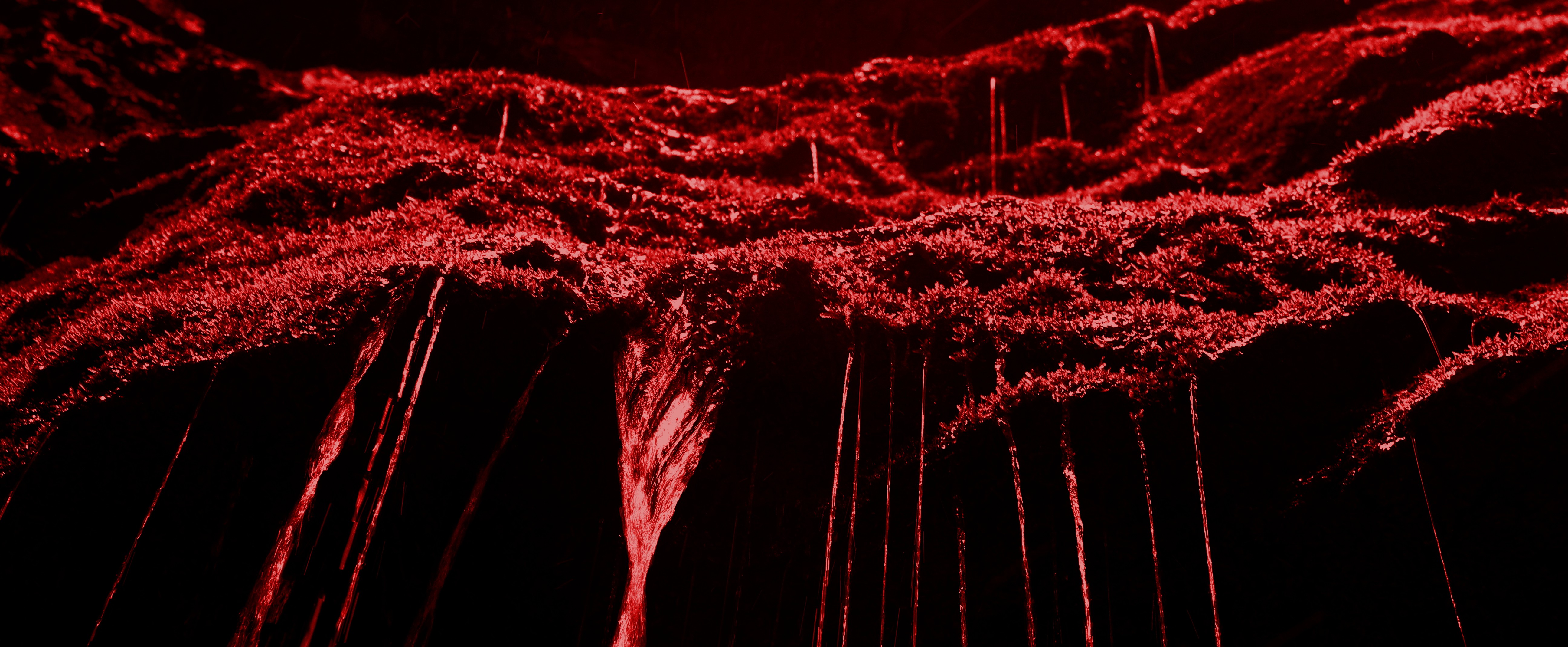 Blood run