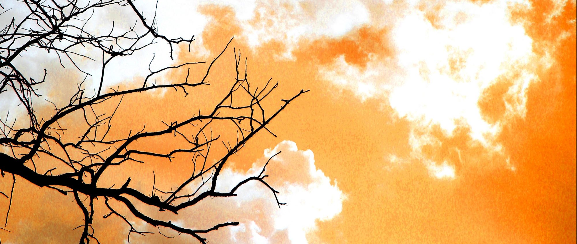 Strange Skies